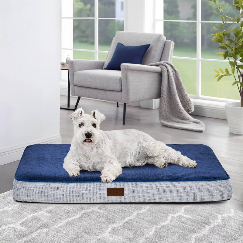 Orthopedic Dog Bed with Washable Cover - 30x20x3 - Blue Grey/Navy