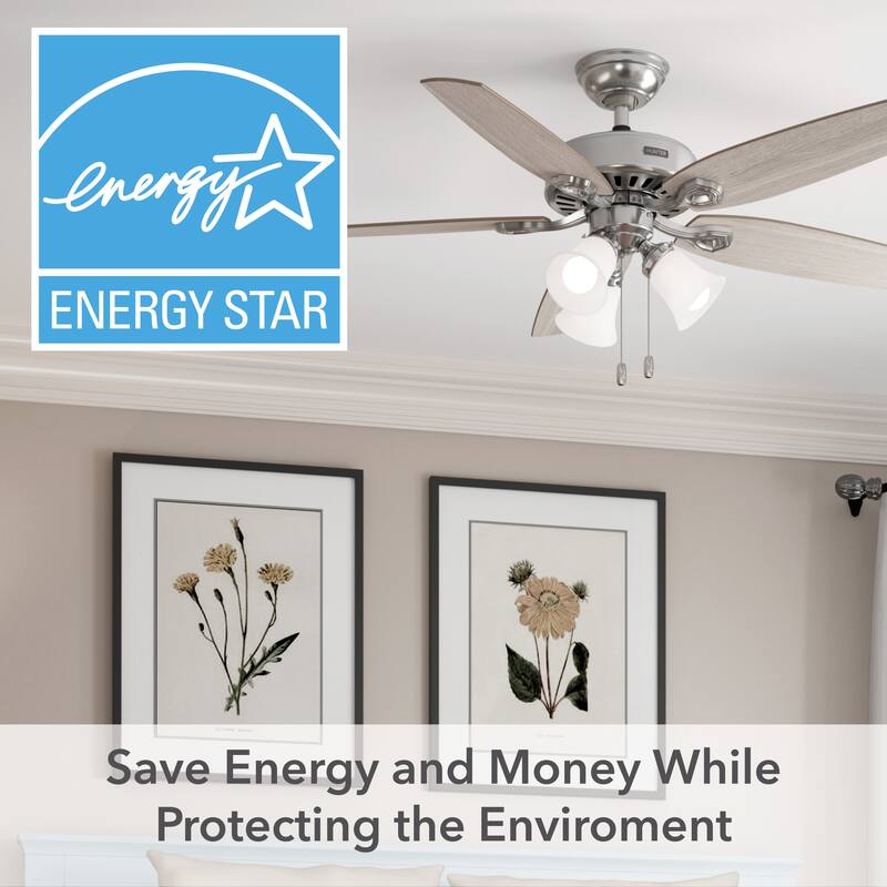 Hunter 52" Builder Ceiling Fan with LED Light Kit and Pull Chain - DC Motor - Casual, Traditional - ENERGY STAR