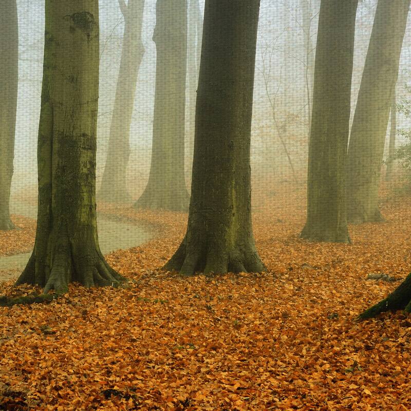 Misty Twisty by Lars Van de Goor Canvas Art Print