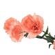 preview thumbnail 4 of 3, Mini Carnation Artificial Floral Spray - 27.5" - Peach