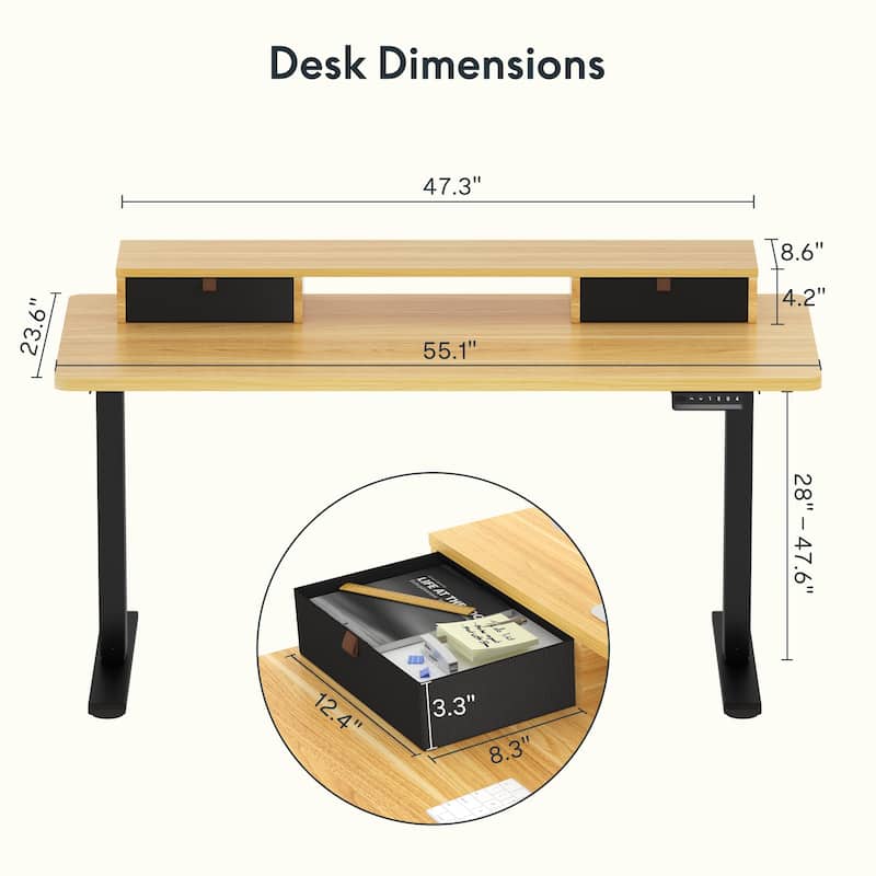 FlexiSpot 48"x24"/55"x24" Ergonomic Height Adjustable Standing Desk with 2 Drawers, Monitor Stand Computer Desk