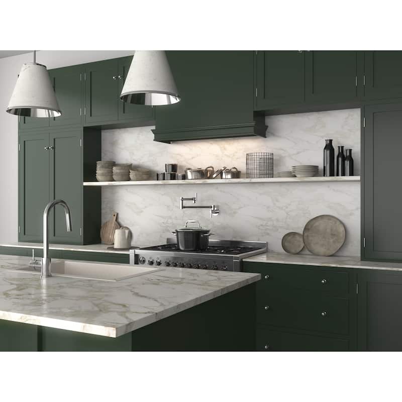 ANZZI Braccia Series 24" Wall Mounted Pot Filler