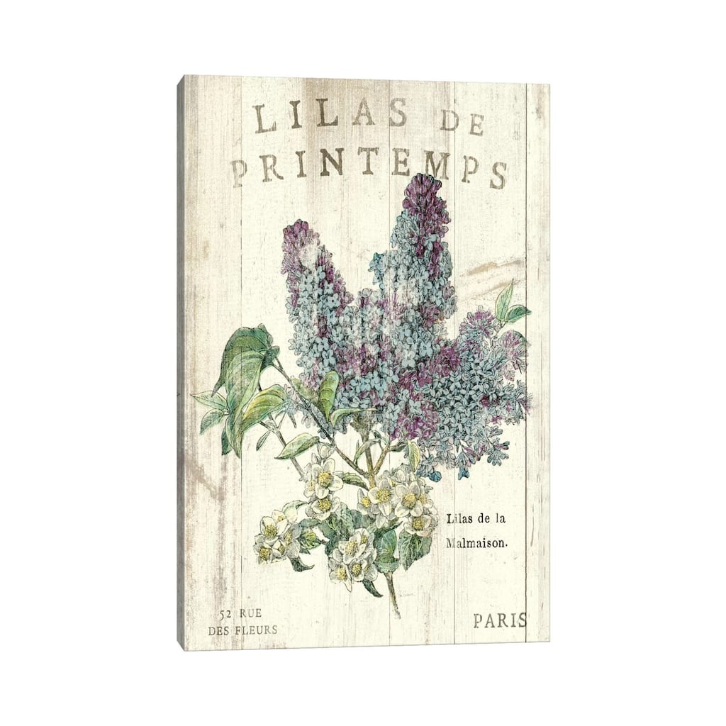 iCanvas "Lilas de Printemps " by Sue Schlabach Canvas Print