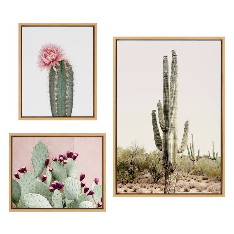 Kate and Laurel Sylvie Sunrise Cactus, Pink Cactus Flower and Cactus 25 Framed Canvas by Amy Peterson Art Studio