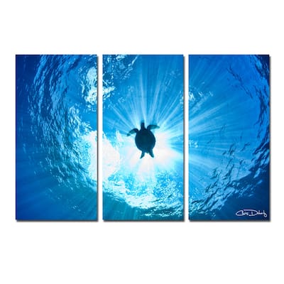 Ready2HangArt 'Sea Turtle' 3-Piece Wrapped Canvas Wall Art Set