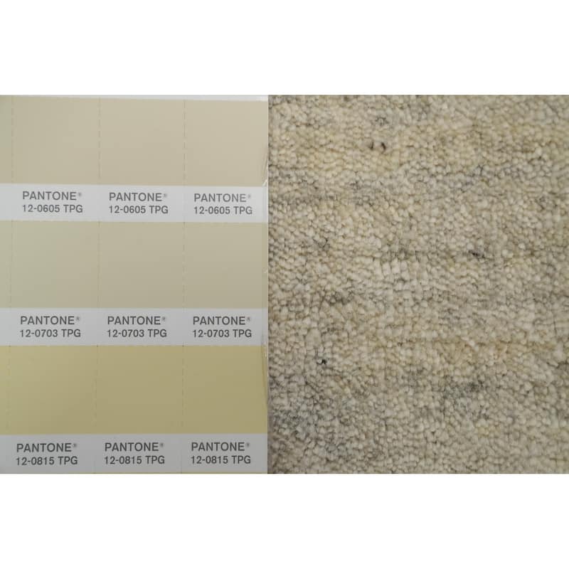 Hand Knotted Oriental 100% Wool Carpet Tribal Animal Pictorial Beige & Ivories Gabbeh Area Rug - 10' 0'' X 8' 2''