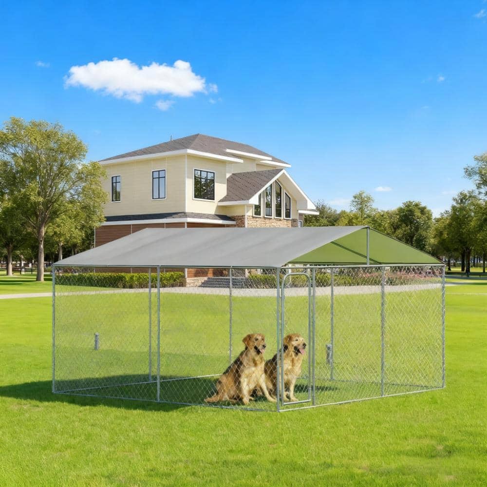 Steel Dog Kennel & Fence with Canopy (157.5" x 157.5" x 91.25")