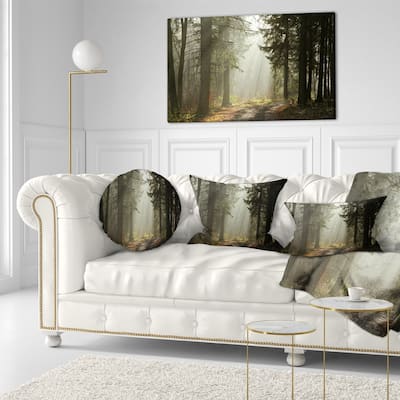 Dark Green Forest with Sun Rays - Landscape Photo Canvas Print