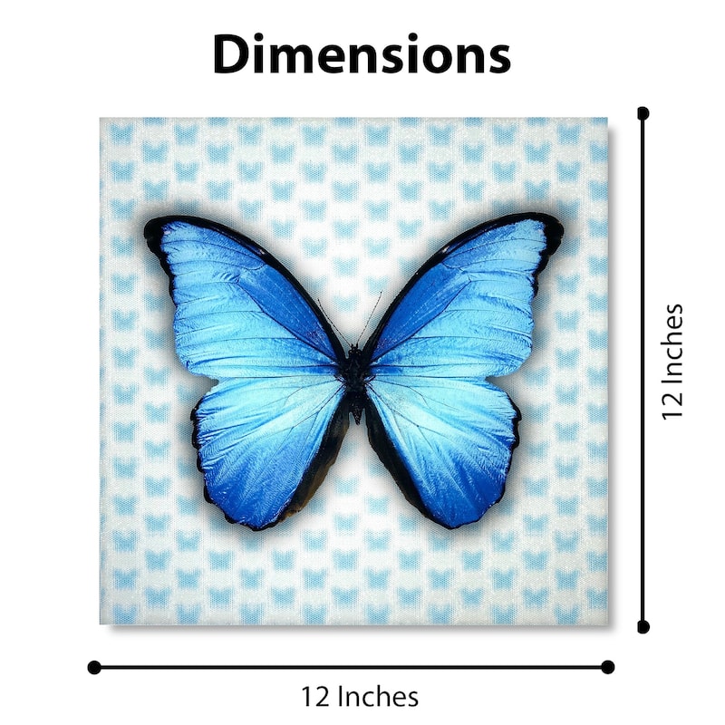 Matashi 5D Multi-Dimensional Wall Art - Custom Made 5D Butterfly Wall Art Print