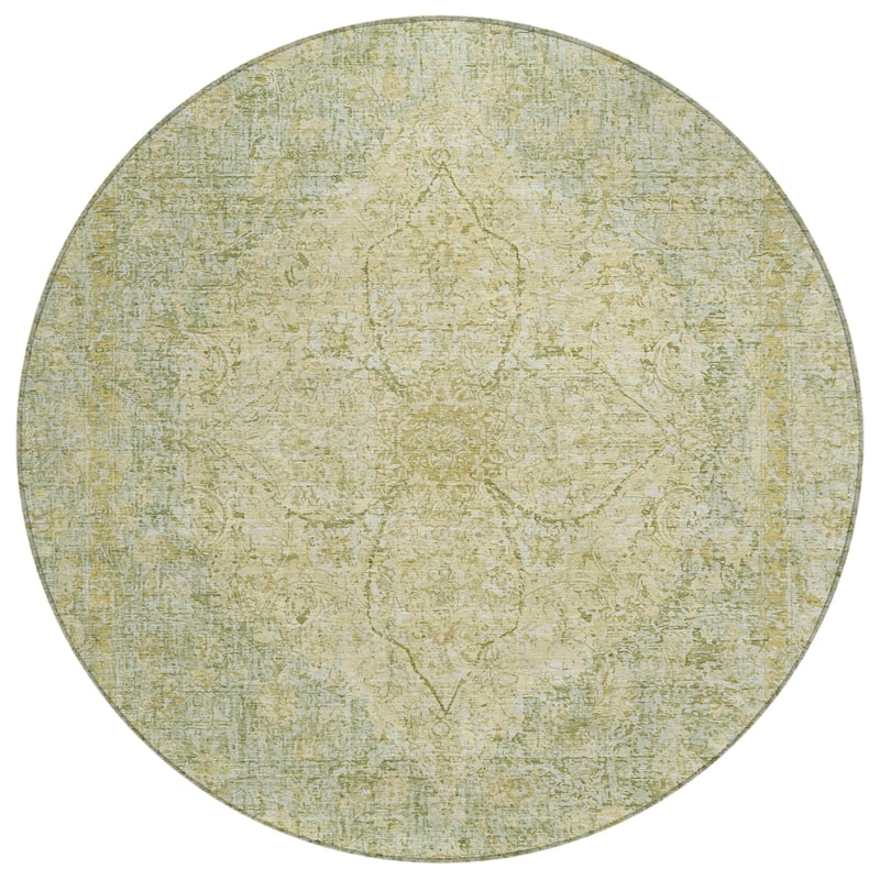 Machine Washable Indoor/Outdoor Traditional Global Chantille Rug