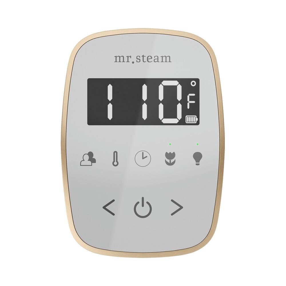 Mr Steam TF Tempoflex Steam Shower Control and Steamhead