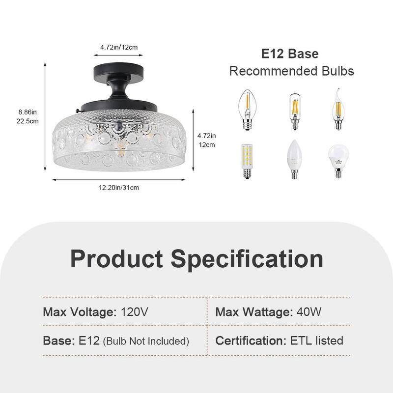 Modern Black Flush Mount Ceiling Light with Clear Glass Shade Iron Housing for Living Room Bedroom Hallway