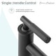 preview thumbnail 10 of 53, Avallon Single Hole, Single-Handle Sleek, Bathroom Faucet