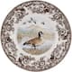 Option Canadian Goose