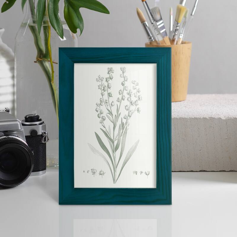 Botanical Study in Sage I -Framed Print w/glass-Cherry Red