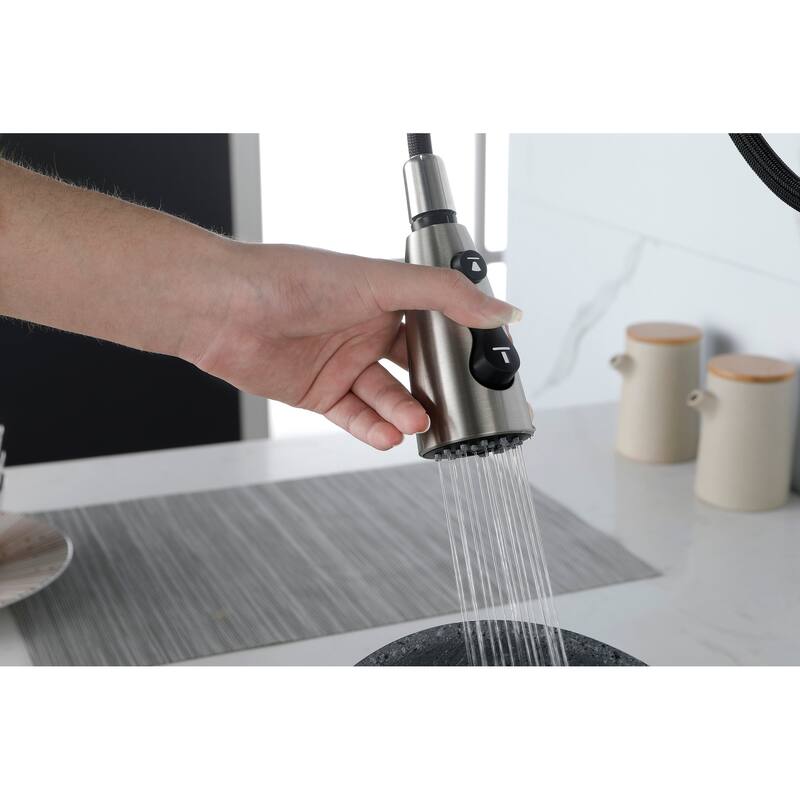 Single Handle Kitchen Sink Faucet with Pull Down Sprayer
