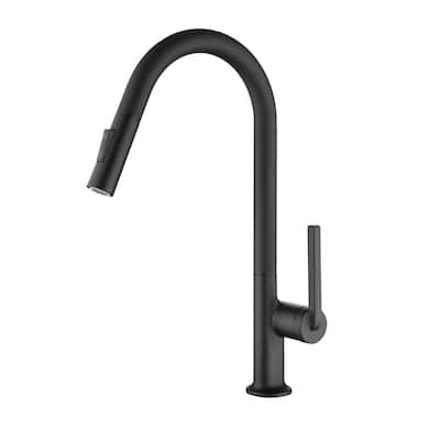 Single Handle Kitchen Faucet with Pull Down Sprayer Modern Commercial Kitchen Sink Faucets Matte Black