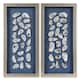 Option Oyster Shell Shadowbox