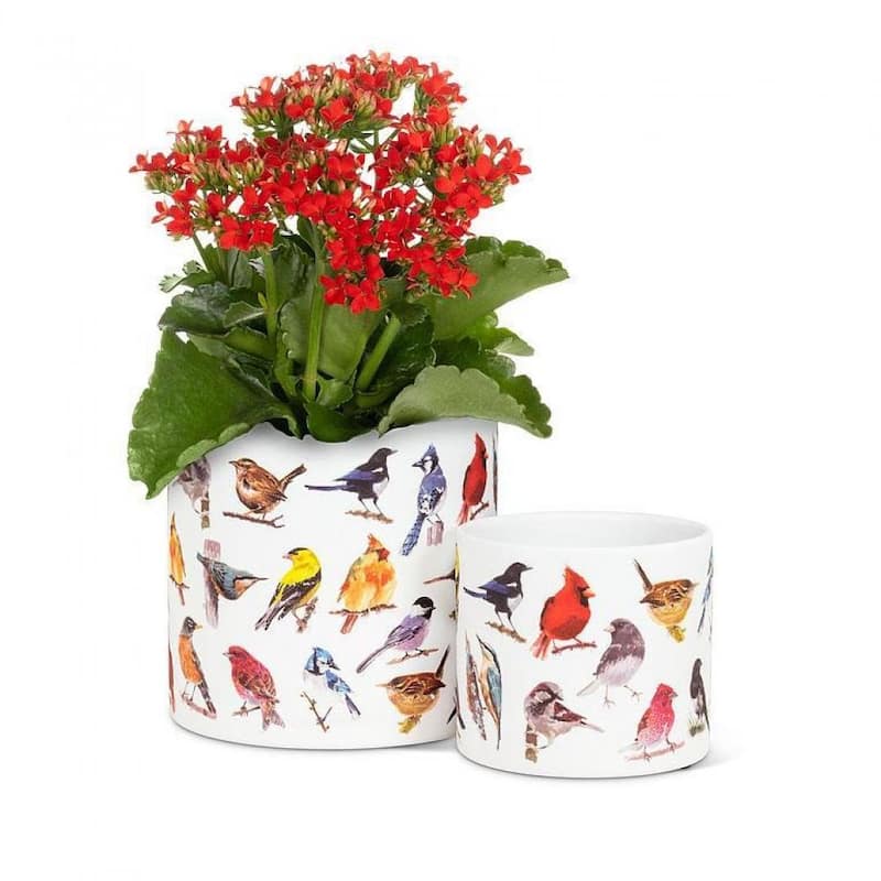 North American Birds Planter