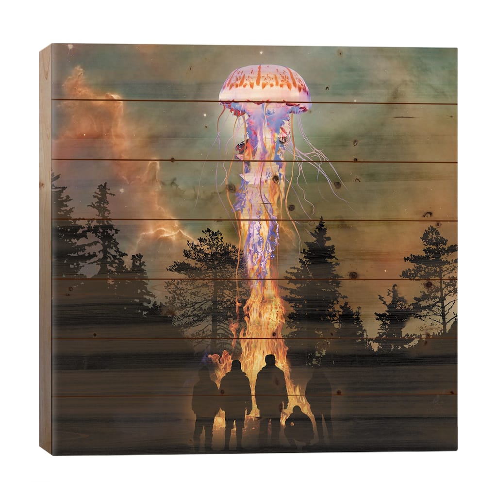 Jellyfish From The Flames Print On Wood by David Loblaw - Multi-Color