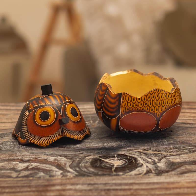 Novica Handmade Owls Wisdom Dried Mate Gourd Decorative Box