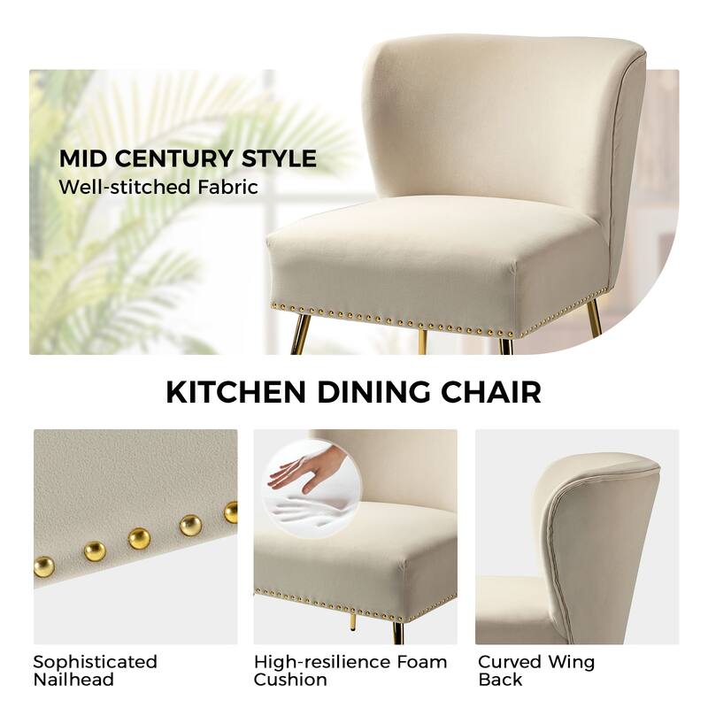 Celtia Modern Velvet Accent Side Chair with Nailhead Trim by HULALA HOME