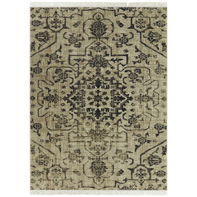 Caldera Vintage Traditional Recycled Area Rug