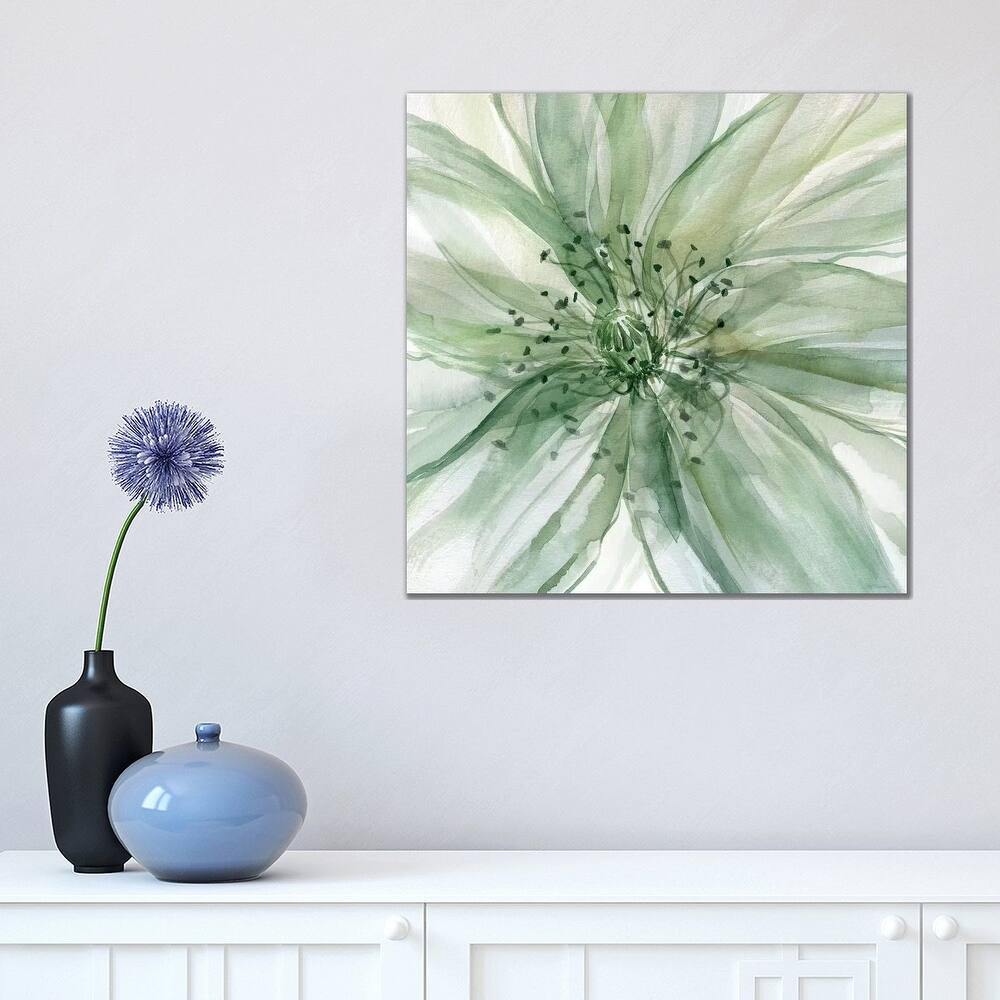 iCanvas "Macro Sage Flower II" by Carol Robinson Canvas Print