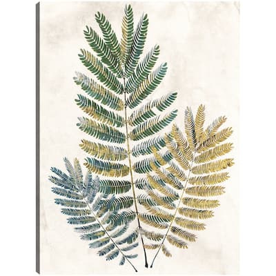 Opulent Ferns III By Studio Arts Canvas Art Print