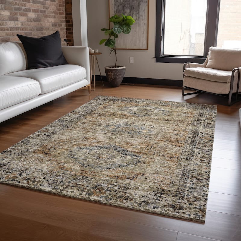 Machine Washable Indoor/Outdoor Vintage Traditional Chantille Rug