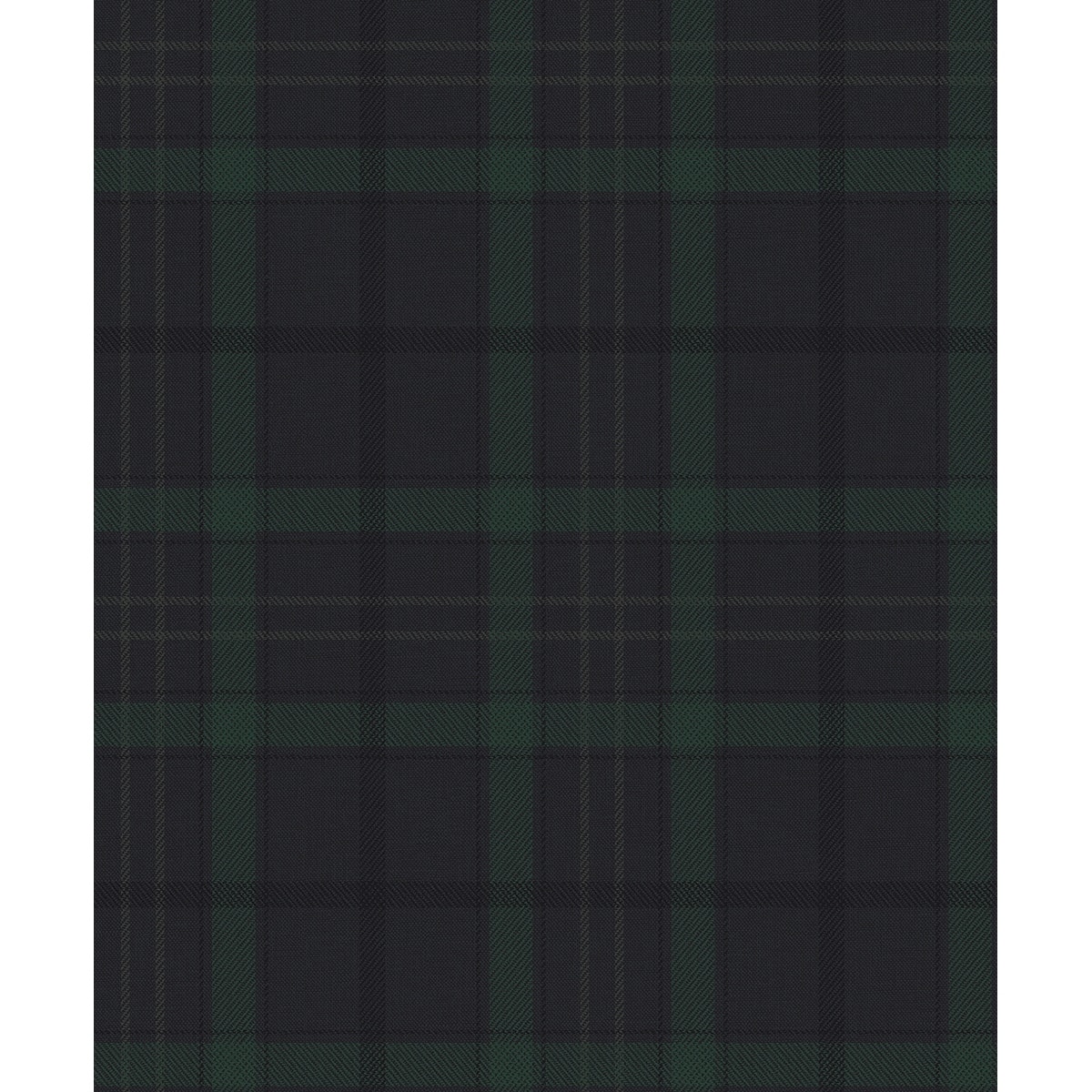 Option Dark Blue & Evergreen