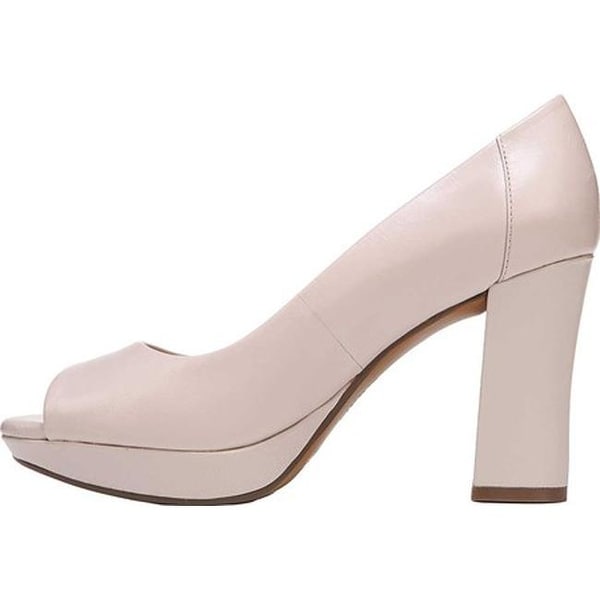 amie pump naturalizer
