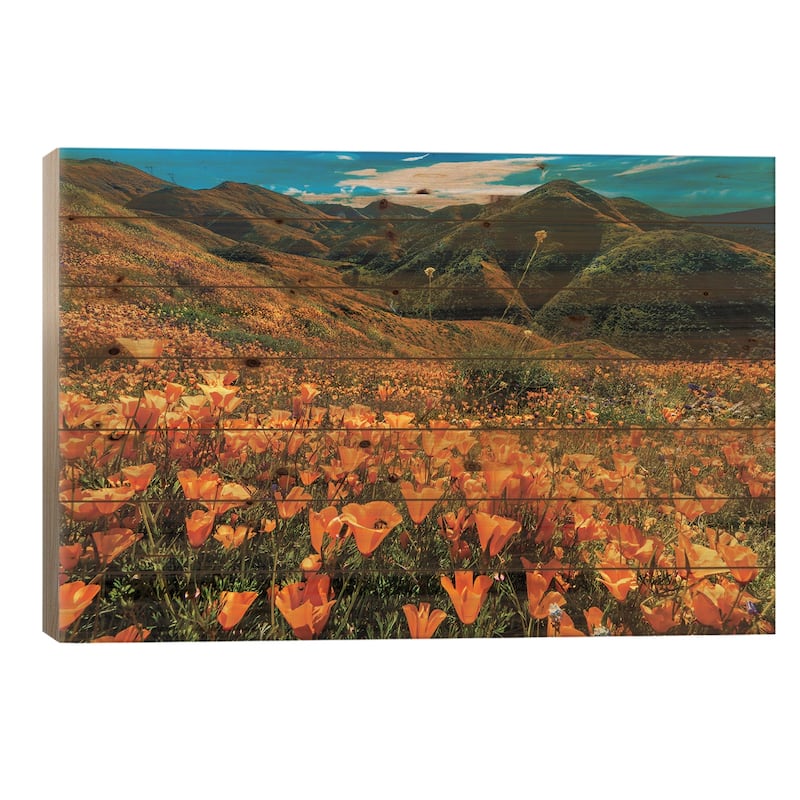 Super Bloom Of California Poppies In Walker Canyon, California, USA Print On Wood by Panoramic Images - Multi-Color - 26x40x1.5