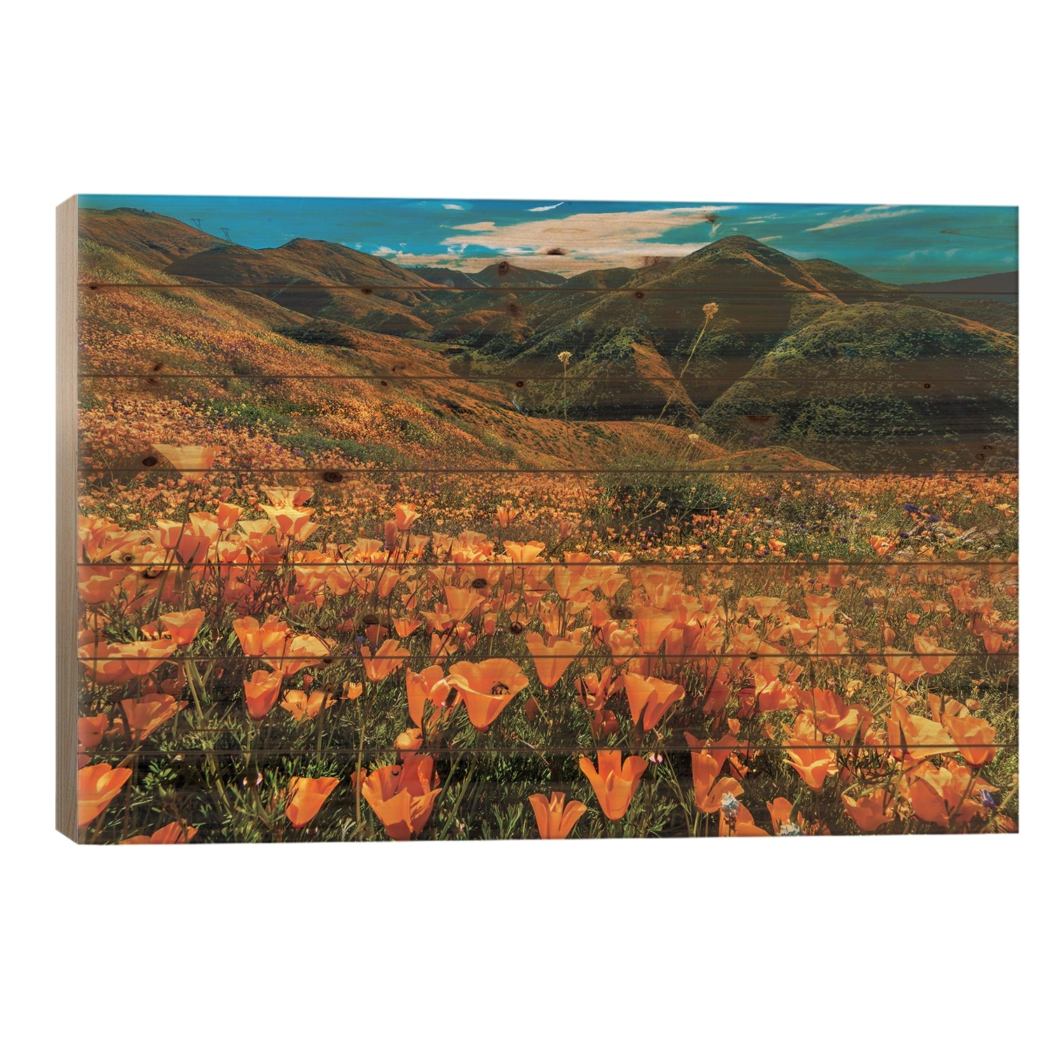Super Bloom Of California Poppies In Walker Canyon, California, USA Print On Wood by Panoramic Images - Multi-Color
