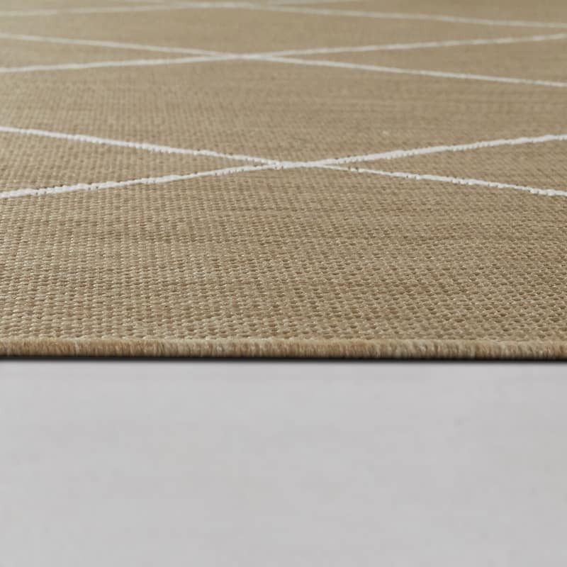 Silas Diamond Trellis Indoor/Outdoor Area Rug