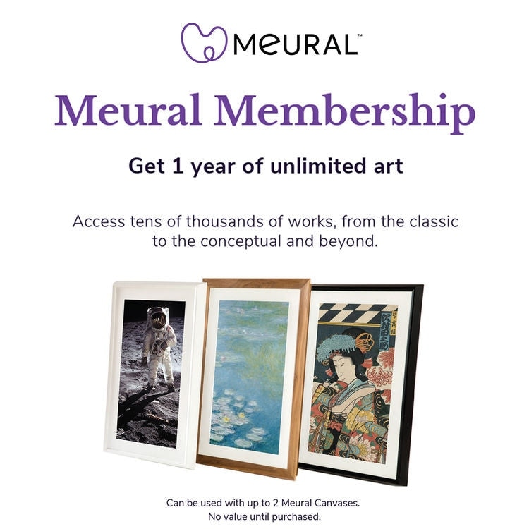 Meural MCMYA-10000S Canvas Annual Membership Card ...