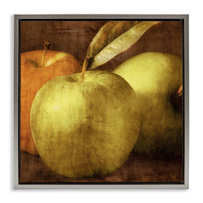 Stupell Vintage Apples Close Up Framed Floater Canvas Wall Art Design By Caroline Kelly - 18 x 18 - Grey