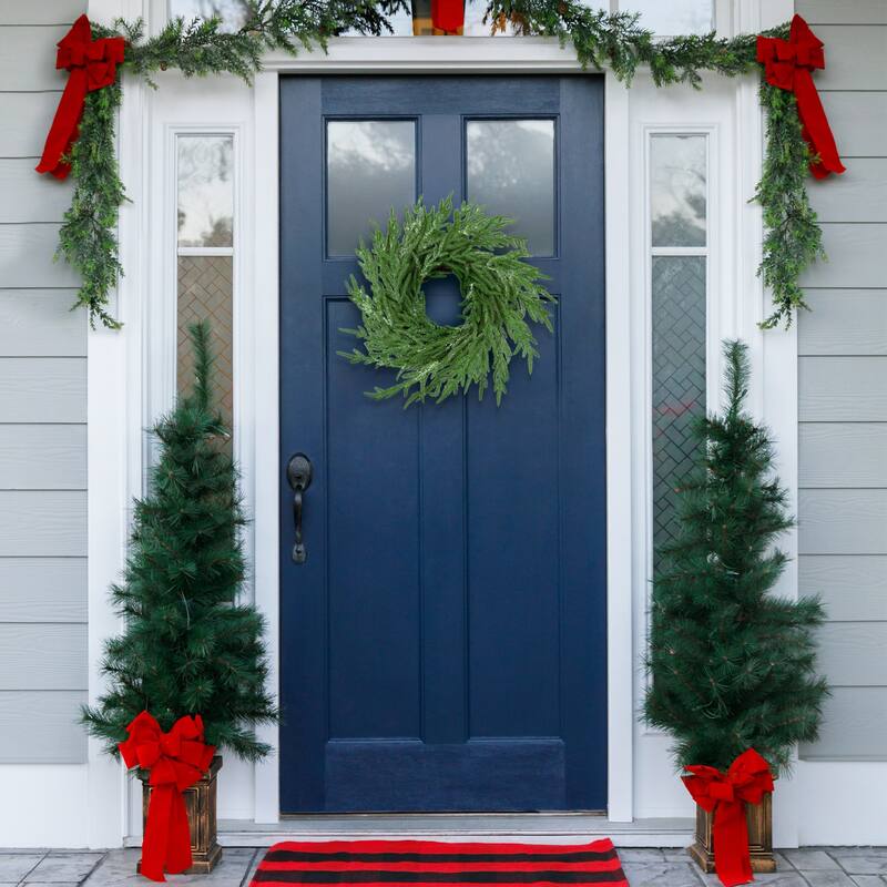 Frosted Norfolk Pine Artificial Christmas Wreath - 20" - Unlit