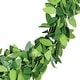 preview thumbnail 13 of 16, Fraser Hill Farm 24-inch Boxwood Bunny Wreath