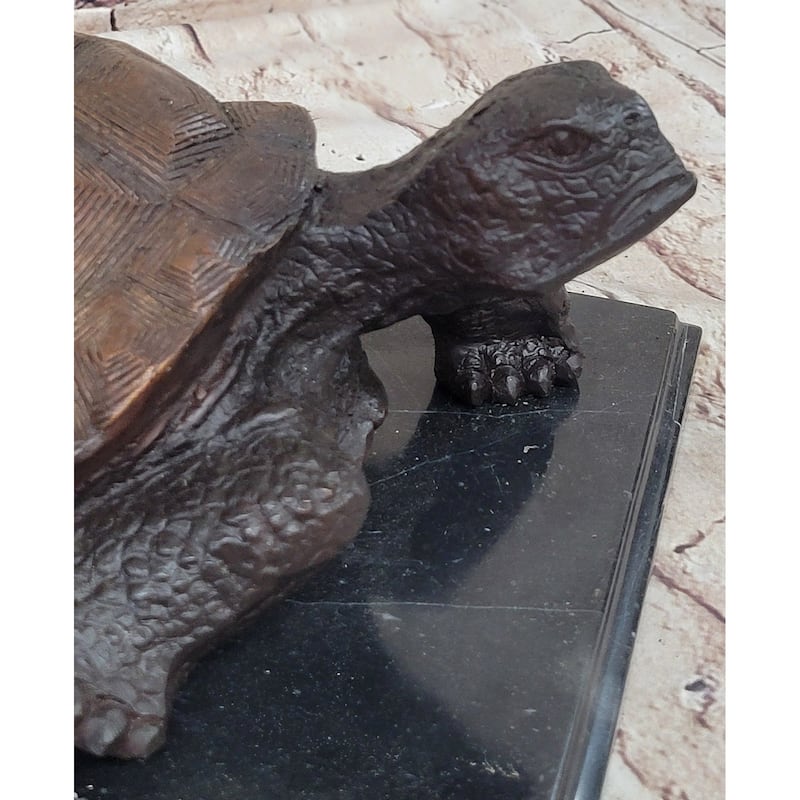 Limited Edition Bronze Tortoise Turtle Life Size Sculpture Statue Figure