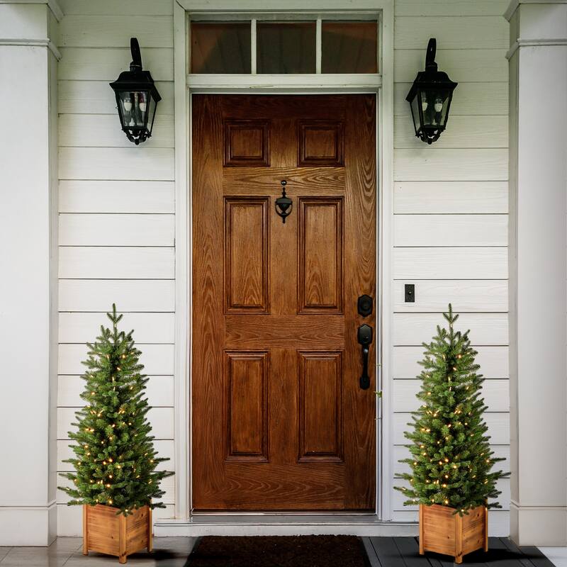4' Led Potted Ornamental Pine Tree