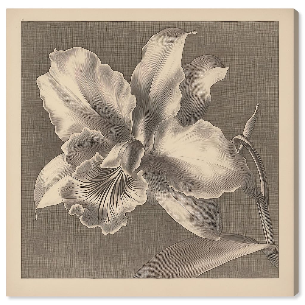 Petals Unfurled I Canvas by Art Remedy, Gallery Wrapped