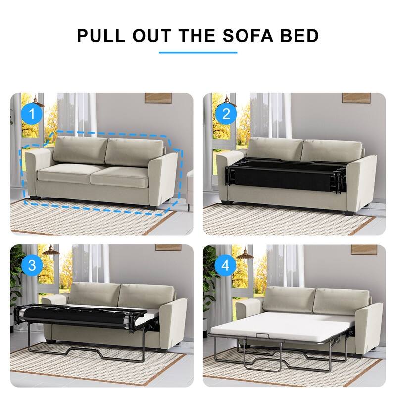 MIxoy Modern Velvet Queen Size 2-in-1 Pull Out Sleep Sofa Bed
