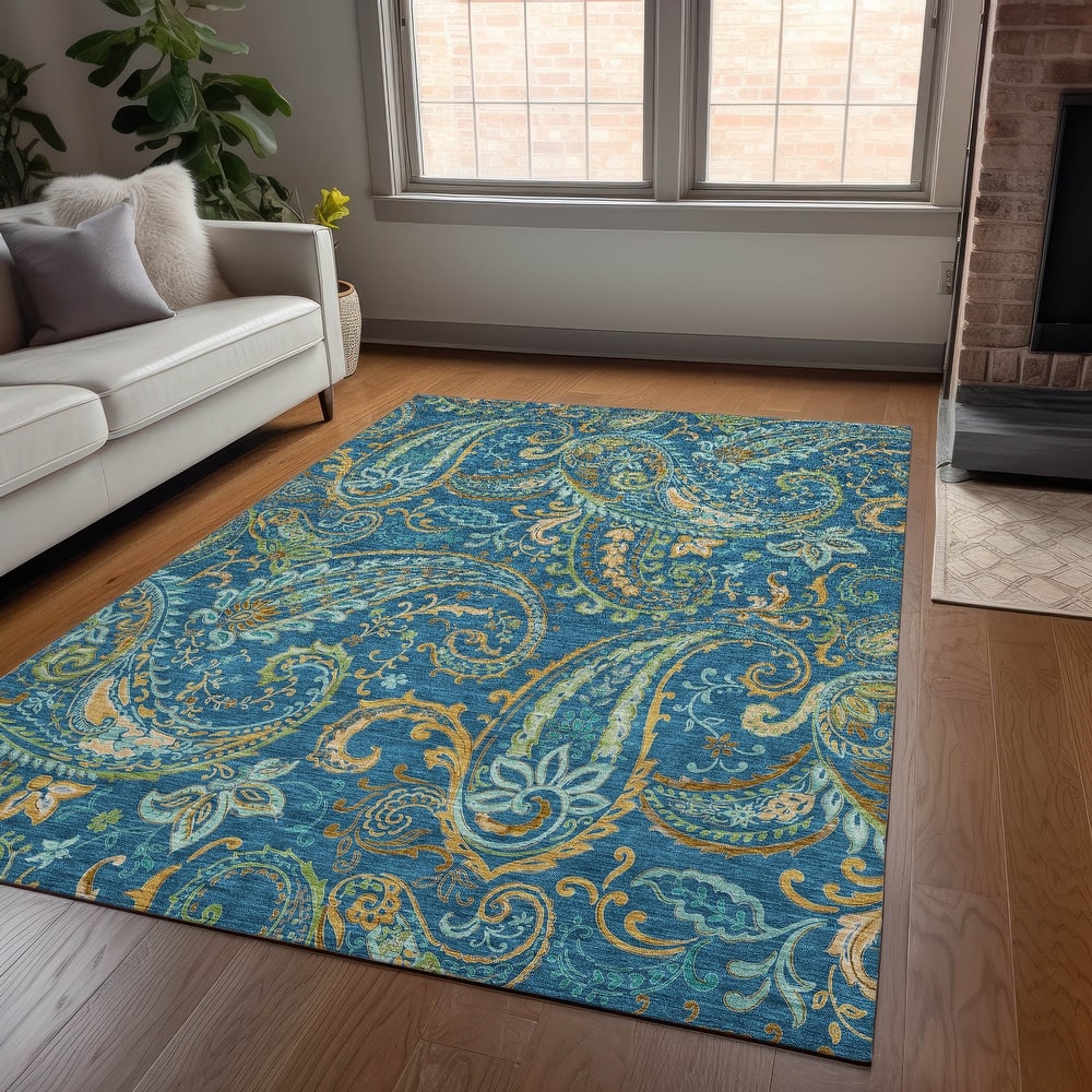 Machine Washable Indoor/ Outdoor Paisley Chantille Rug