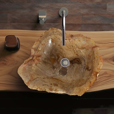 Wood Unique Handcrafted Petrified Wood Natural Stone Bathroom Vessel Sink