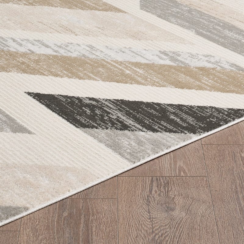 Traditional Grey/Beige Oriental Area Rug
