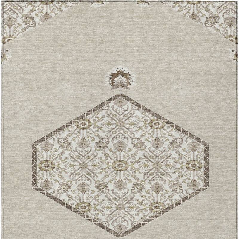 HomeRoots Oriental Traditional Rectangle Outdoor Rug