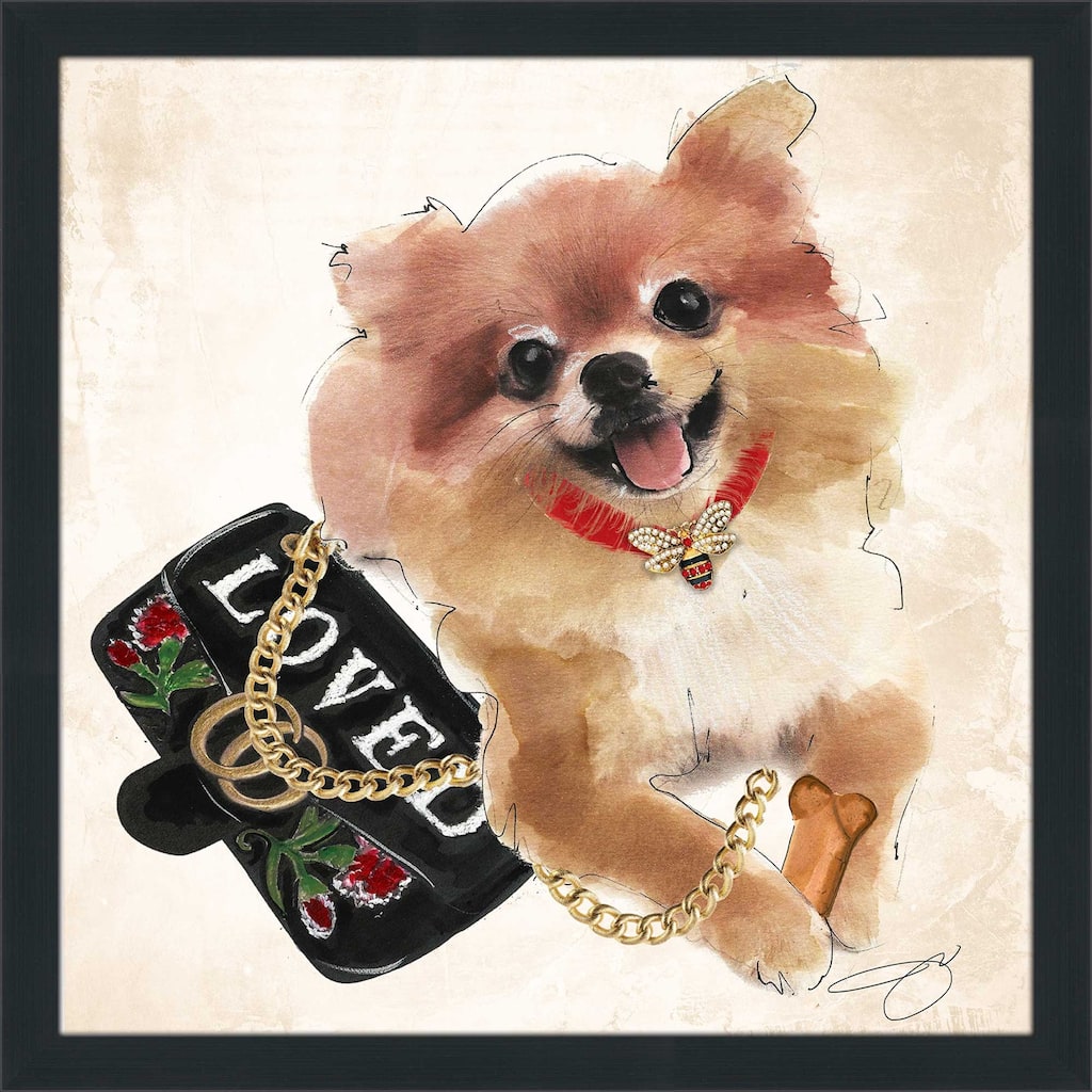 "Fashionista Pomeranian" by Jodi Print on Acrylic