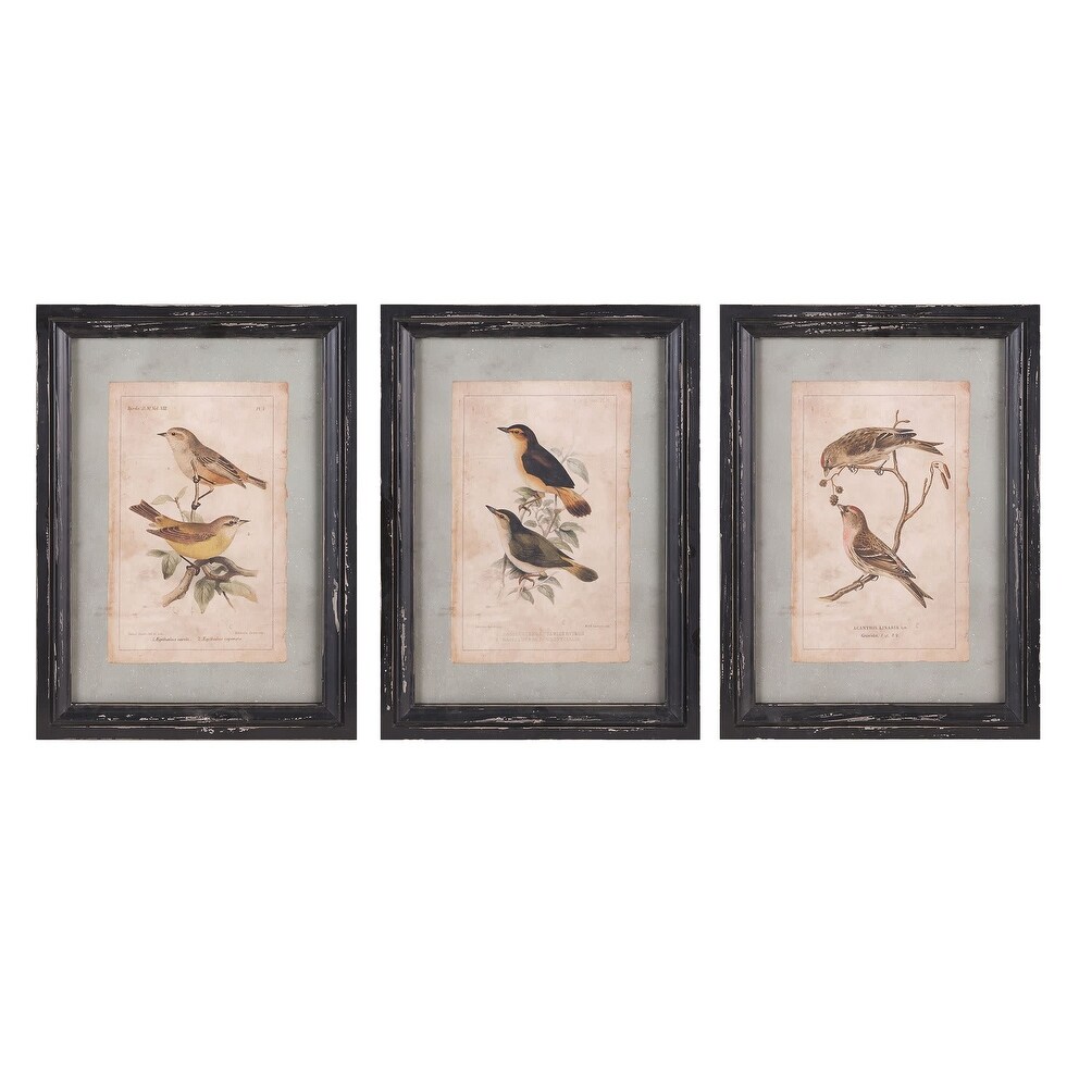 Shop Imax Home A0397322 Three Panel Wood Framed Birds Painting Set