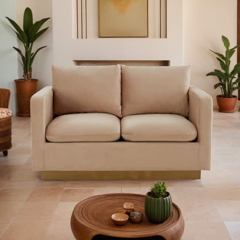 Nervo 2-Seater Modern Accent Velvet Sofa Loveseat Chair in Gold Base with Removable Cushions Couch for Living Room & Bedroom